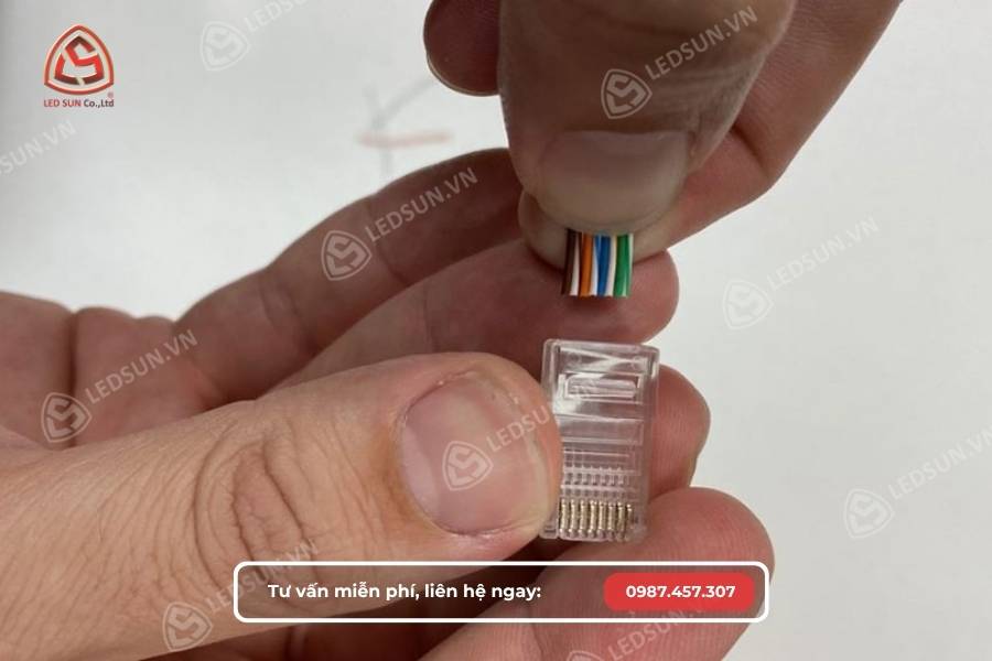 Đưa lõi dây vào đầu RJ45